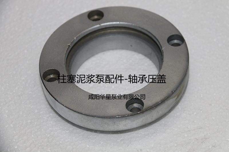 冶金、選礦、含酸礦漿長(zhǎng)距離輸送或給壓濾機(jī)進(jìn)料